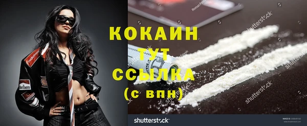 индика Баксан