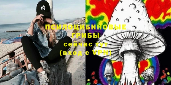 индика Баксан
