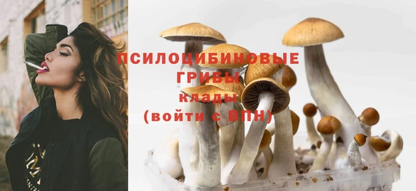 индика Баксан