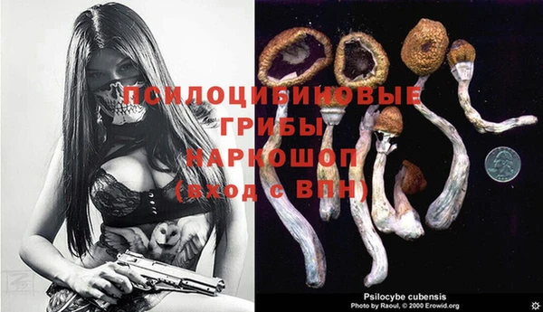 индика Баксан