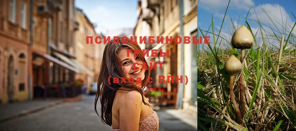 прущий лед Балабаново
