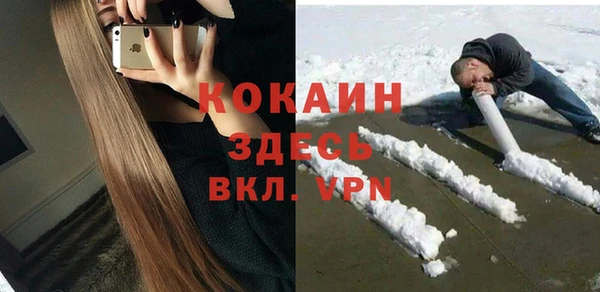 индика Баксан
