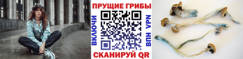 Галлюциногенные грибы мухоморы  продажа наркотиков  Чудово 