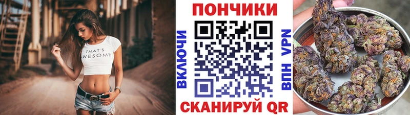закладка  Чудово  kraken маркетплейс  Каннабис ГИДРОПОН 